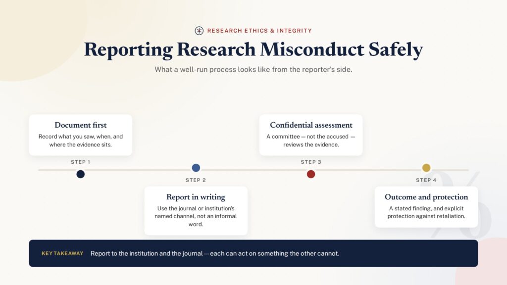 Timeline of the steps for safely reporting research misconduct